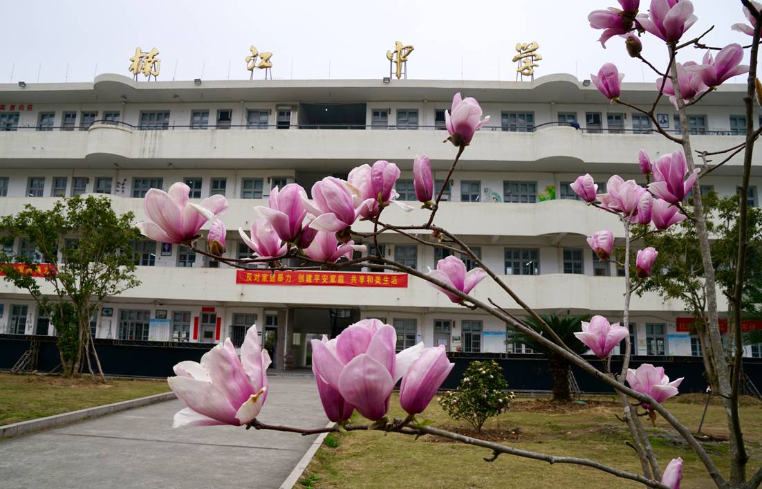 永嘉楠江中学升学率图片